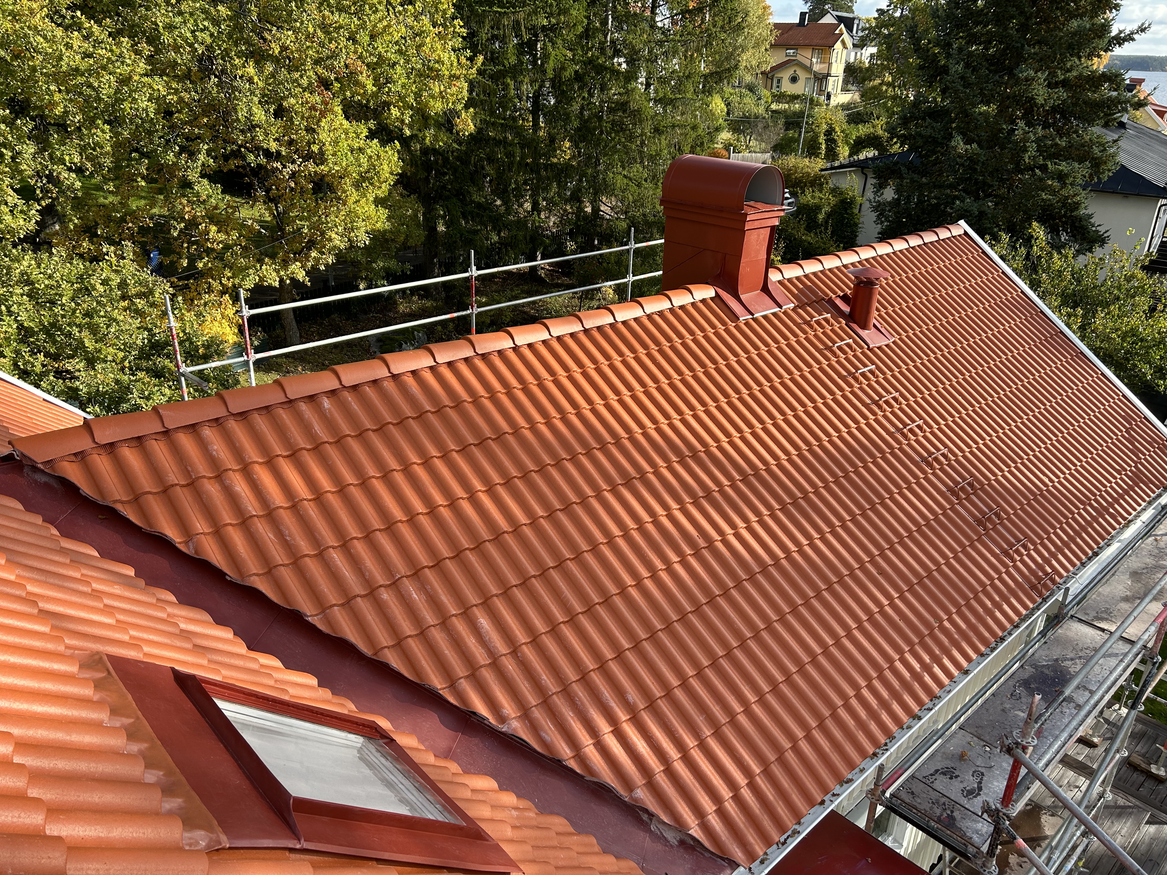 IMG_2696